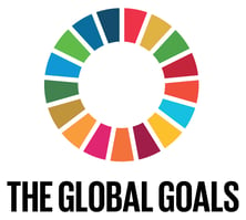 Global UN Goals